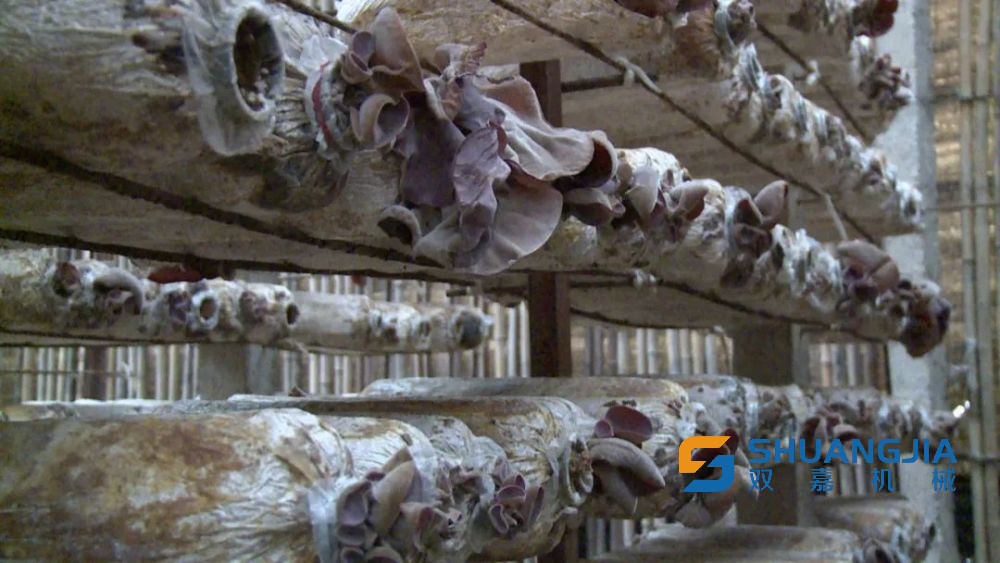 1648437059169552.jpg 10-37-58-96-283825.jpg