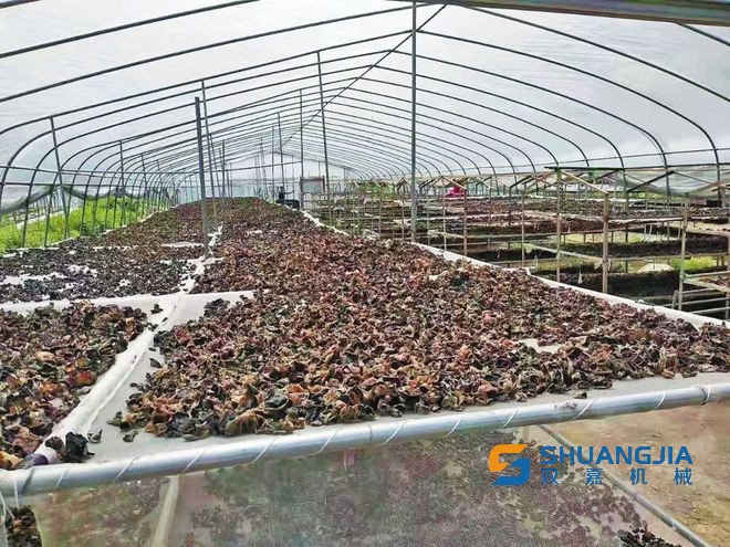 1654129761335589.jpg 下载 (2).jpg