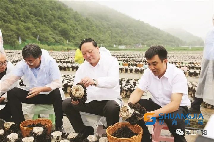 1654220460917586.jpg 640.jpg