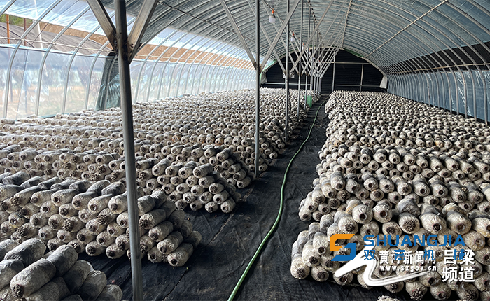 1655427994243518.png 13-52-57-84-283825.png