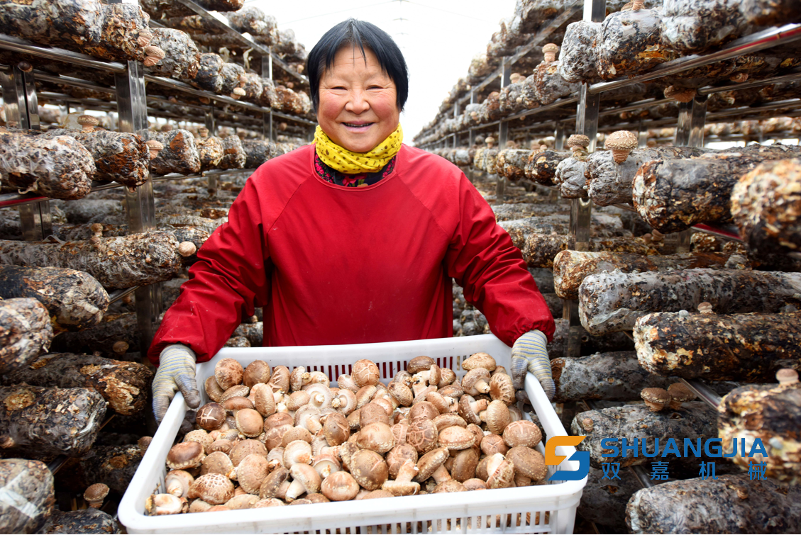 1655605348321392.png 23-11-01-80-283825.png