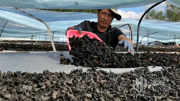 1656292251188507.jpeg 20-58-06-74-283825.jpeg