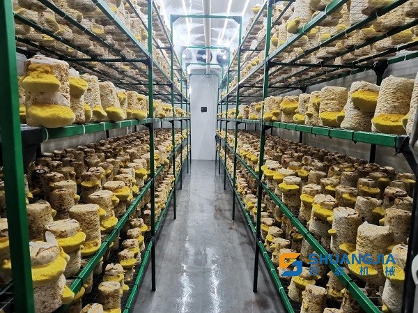 1656378244167651.jpg 18-53-31-19-283825.jpg