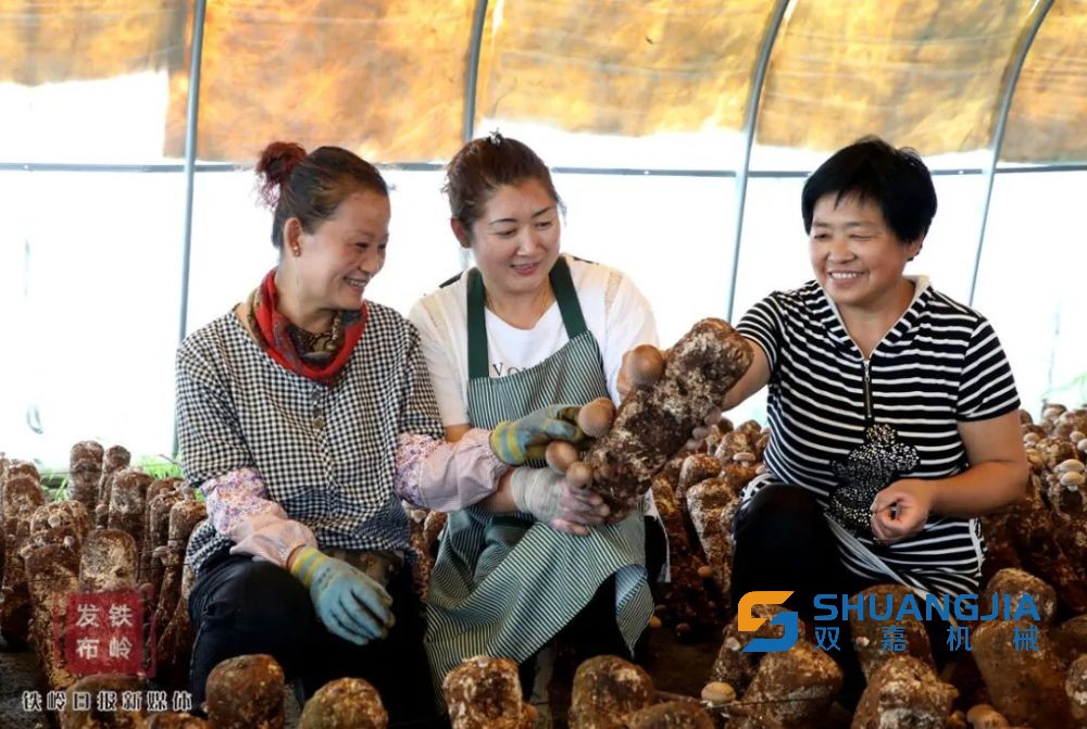 1656814374643415.jpg 22-36-43-54-283825.jpg