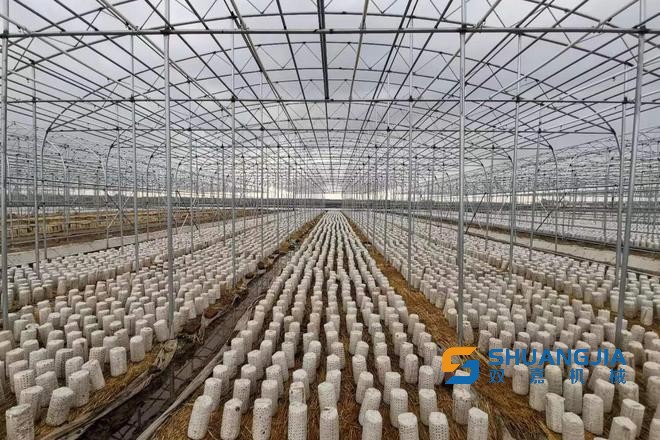 1658885942118582.jpg 16-08-01-10-283825.jpg