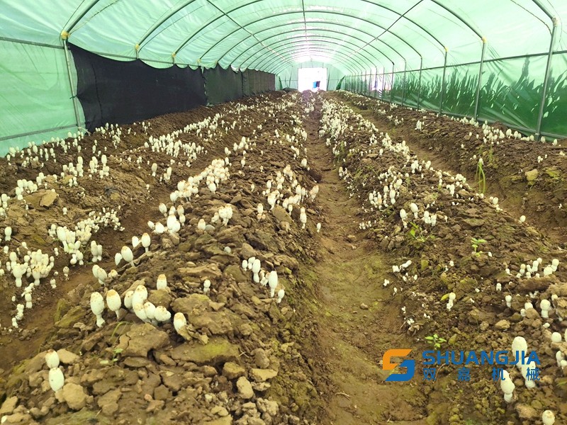 1659066989100870.jpg 09-10-09-95-283825.jpg