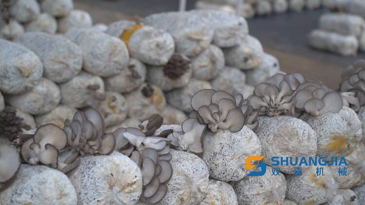 1671283130126966.png 13-14-40-51-283825.png