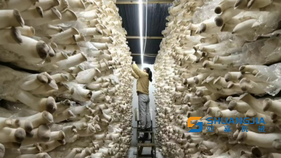 1672747020172141.png 10-15-30-90-283825.png