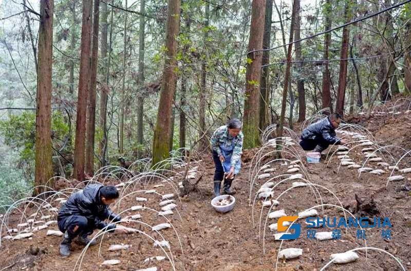 1679670805146692.jpg 16-14-12-73-283825.jpg