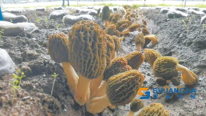 1686381736379492.jpg 09-58-33-72-283825.jpg